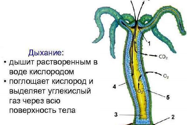 Кракен сайт регистрация