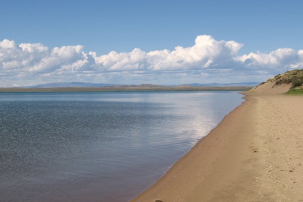 Кракен современный даркнет