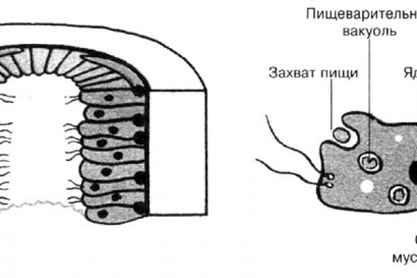 Кракен сайт вход