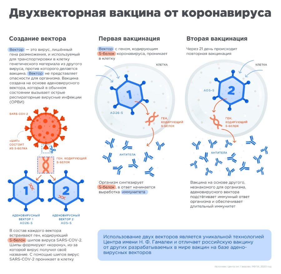 Найдется все кракен